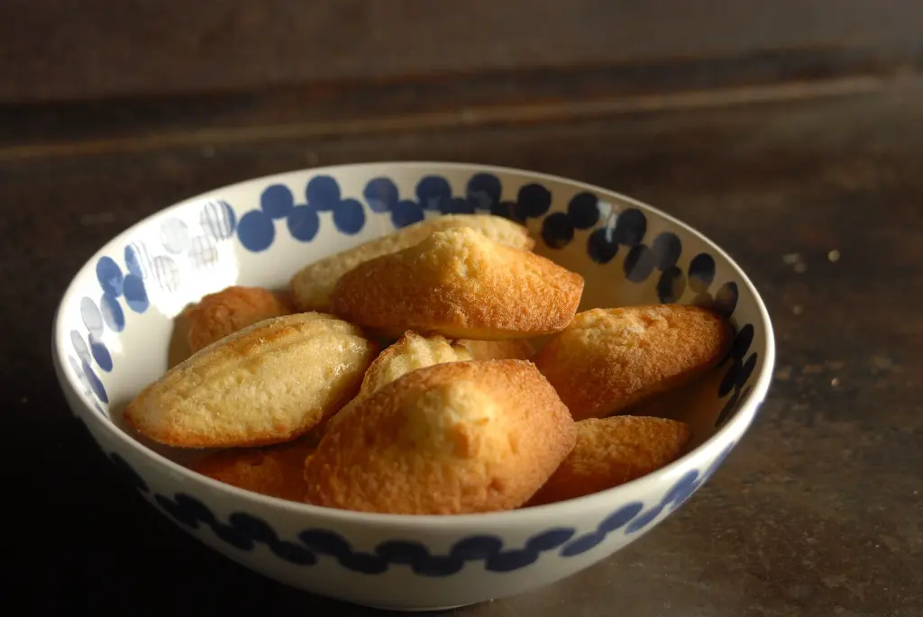 2.1.2.6503_Madeleine pur beurre bio (3).webp