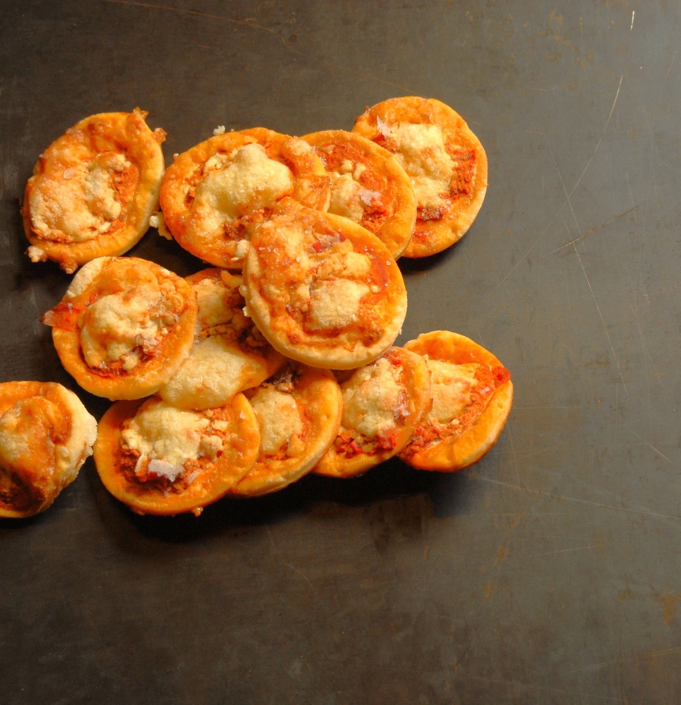 ZAKOUSKI MINI PIZZA - BIO - 1X25