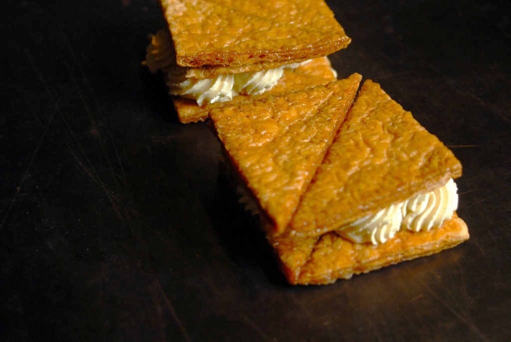 MILLEFEUILLE 'TOM POUCE' - BIO - 1X4