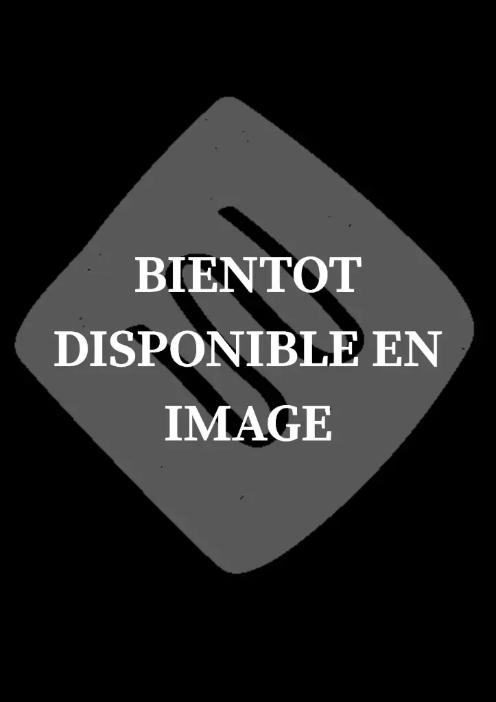 QUICHE CHICON & POIRES - BIO - PLAQUE 30x45cm  (OCT.-MARS)