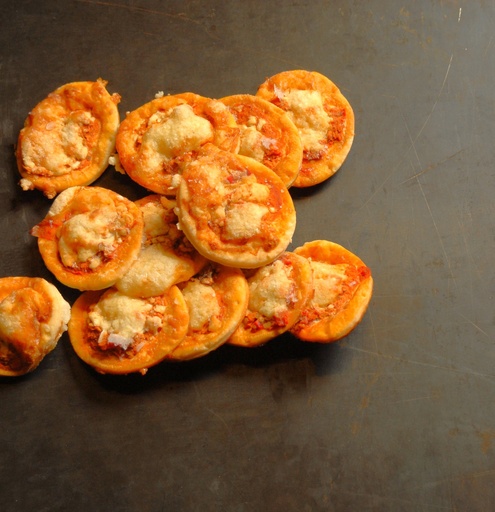 [1.2.2.3243 *] ZAKOUSKI MINI PIZZA - BIO - 1X25